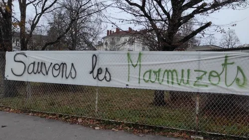 Dijon : une école menacée de fermeture, les parents d’élèves se...